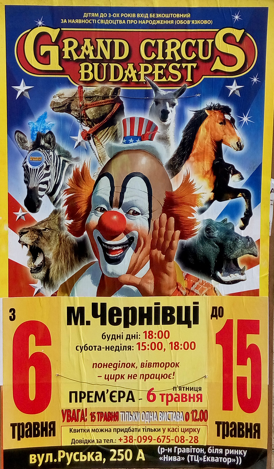 Цирк будапешт